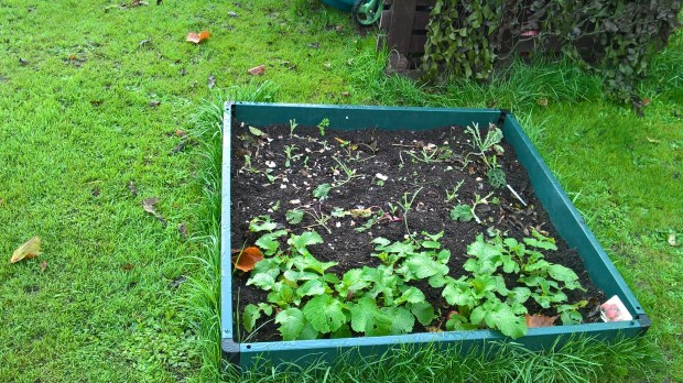 WP_20171101_09_19_03_Pro